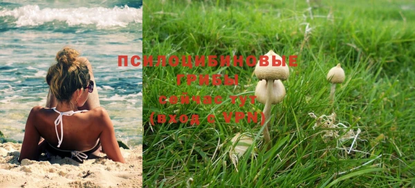 прущие крисы Верея