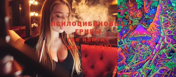 прущие крисы Верея